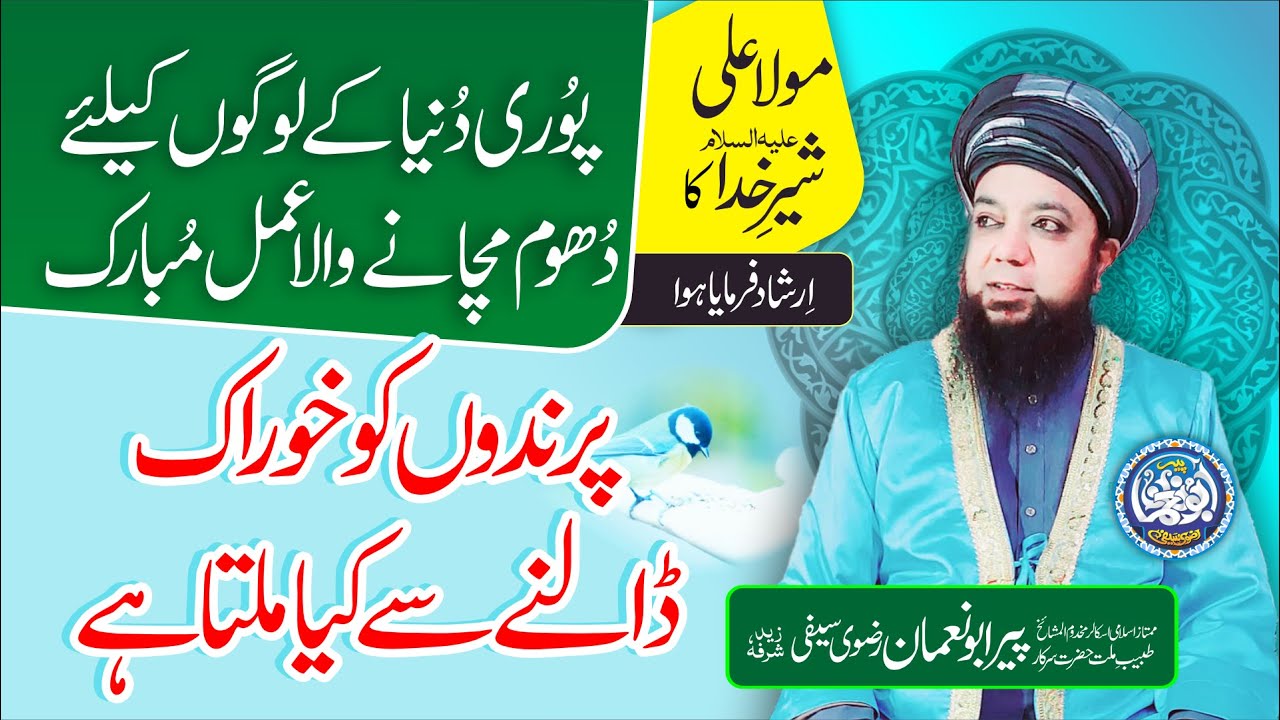 Mola Ali (AS) ka Diya Hua Amal - Parindon ko Khorak Dalne se Kya Milta Hai - Amal for Life Problems