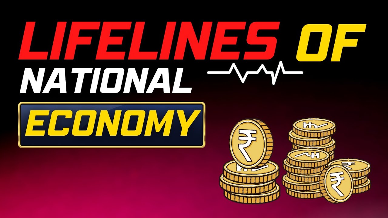 lifelines of national economy class 10 case study questions