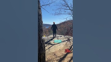 LIKE A BOB ROSS PAINTING!