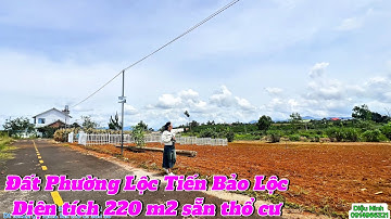 🌹(341) Cần bán gấp lô đất 220m² Phường 2 – Sổ hồng riêng – Full thổ cư – Giá đầu tư siêu tốt