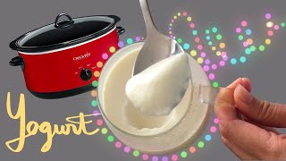 Homemade Yogurt with Slow Cooker | Crock-Pot Yogurt