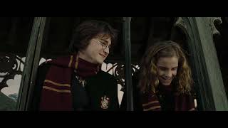 Harry Potter - Whatever It Takes