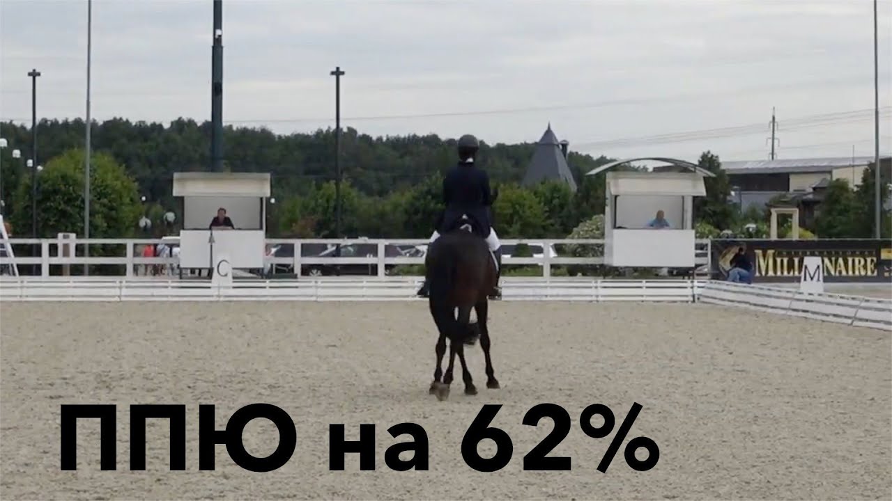 Предварительный приз Юноши (ППЮ) на 62%