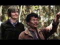How Canopy &amp; Cisco Foundation Keep Trees Standing