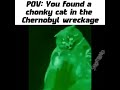 No Regrets 😸☢️ #memes #meme #memesdaily #funny #dank #joke #brainrot #comedy #humor #cute #cats #pov