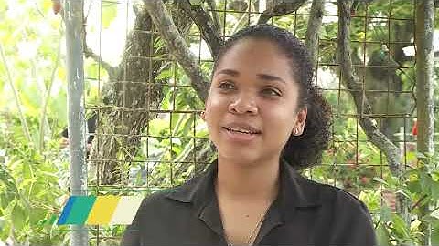 Guyana Wildlife Camera Trap Research