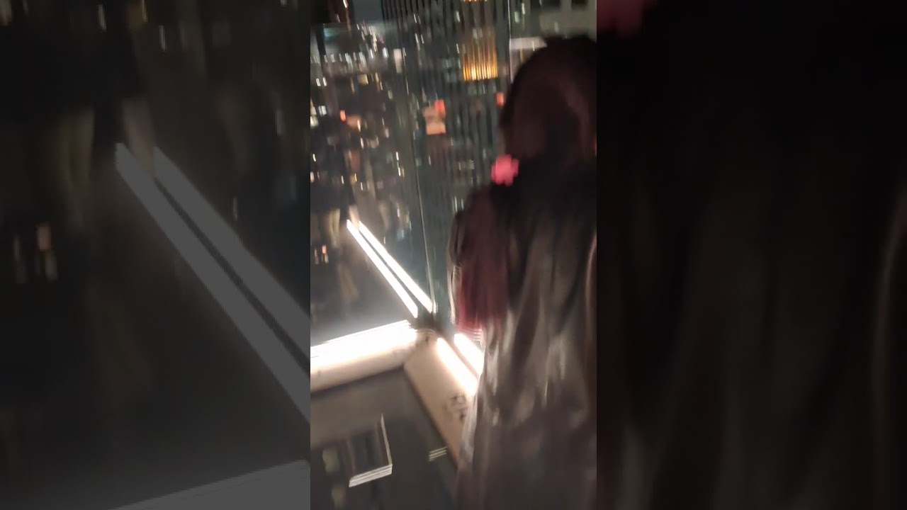 From Hotel Rui plaza, Chicago