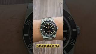 Tudor Black Bay 54 on a small wrist?