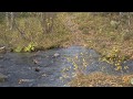 Trekking 2010: Lappland - Kungsleden über Vistas