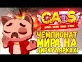 ЧЕМПИОНАТ МИРА НА ЦИРКУЛЯРКАХ В CATS #24