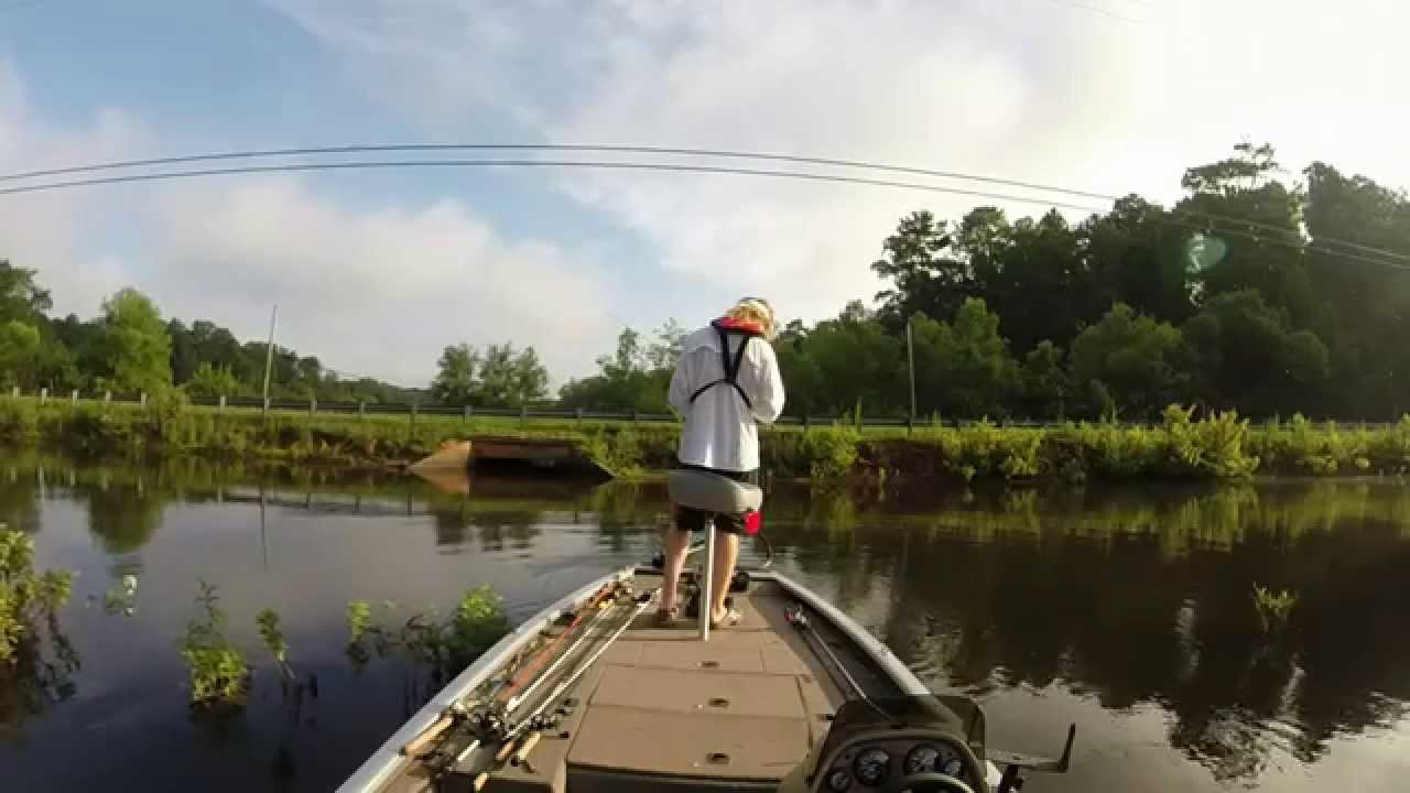 Lake Horton Bass Fishing Big Bass on shakey head YouTube