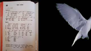 Lagu Laudate No 58  Ama Khoma