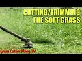 CUTTING/TRIMMING THE SOFT GRASS USING BRUSH CUTTER/GRASS CUTTER/GRASS CUTTING,