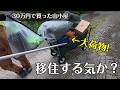 30万円の山小屋でピザパーティー！週末のスローライフ
