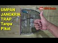 Membuat jebakan / trap burung tanpa pikat umpan jangkrik