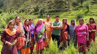 Unseen pahadi village life || Hill farming in Uttarakhand #lalbotalsharab #farmers_villagelife
