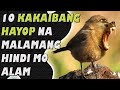 10 Kakaibang Hayop Na Hindi Mo Alam | Jevara PH