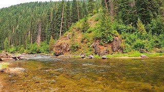 THE PERFECT STREAM- You might fish your entire life and never find a better one - 2 month trip p28