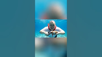 Hùng trọc tắt wifi của cô giám thị #capybara #shorts