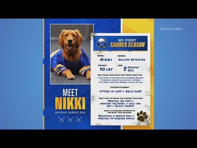 New Sabres Team Dog Blue Meets The Team! 