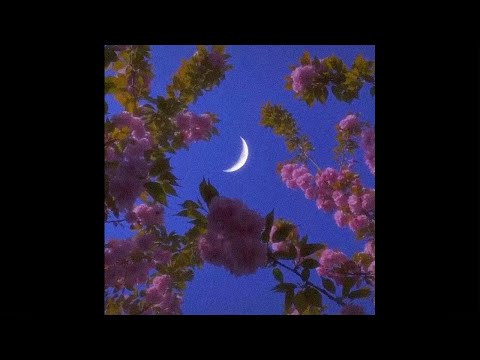 FREE NOT Ft Trippie Redd Type Beat Moonlight Acoustic Guitar Instrumental