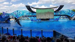 SeaWorld Kasatka 4K.Шоу касаток 4K.ч2