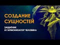 Создание энергоинформационных сущностей. Ваши верные помощники в делах.