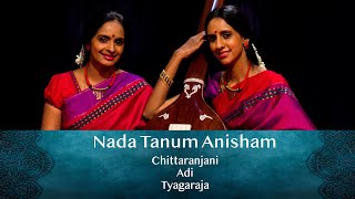 Nada Tanum Anisham - Chittaranjani - Adi - Tyagaraja