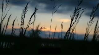 Mikaîl Aslan ~ Elgajiye 🍂