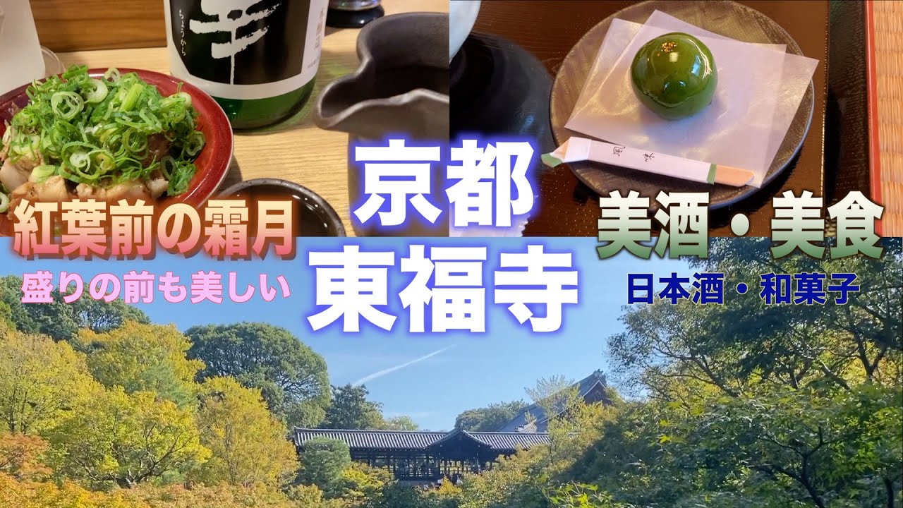 京都　東福寺　紅葉の街と昼呑みの誘惑 　昭和の香りがする寺町で、美食を楽しむ　和菓子・日本酒　ファンファン164　2025年11月14日 #一人旅  #京都  #東福寺 #昼呑み #紅葉