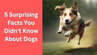 5 Surprising Facts You Didn't Know About Dogs