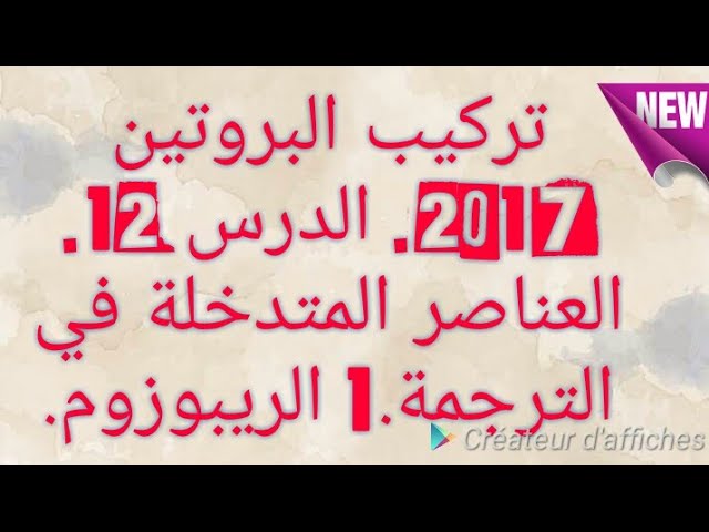 12* تركيب البروتين 2017 الدرس 12 العناصر المتدخلة في الترجمة الريبوزوم
