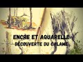 Encre  aquarelle  dcouverte du calame croquis