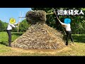 【縄文の家】製作期間３０日！ サラリーマン２人で竪穴式住居を作ってみた #8 Primitive Japan: Building a Bamboo House from Scratch