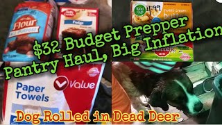 $32 Budget Prepper Pantry Haul/Big Inflation/Our Dog Rolled on a Dead Deer YUCK! #prepperpantry