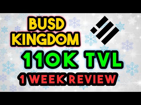 BUSD Kingdom / Project review