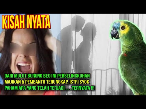 Video: Apa arti mulut burung beo pada kuda?