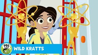 WILD KRATTS | Aviva's Newest Invention | PBS KIDS