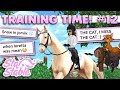 Star Stable Training Time #12 - Your Old Star Stable Memories!