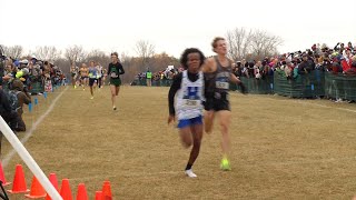 Wayzata Girls, Boys Win State Cross Country; Nechanicky Wins Girls Title