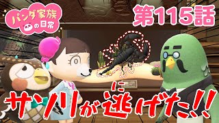 【あつ森アニメ】パンダ家族の日常 第115話　サソリが逃げた！！！ちーにゃ、博物館で職場体験をするの巻！🦂