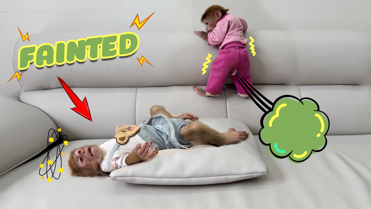 Sunny farted, making Lucky run away and not dare to come close!