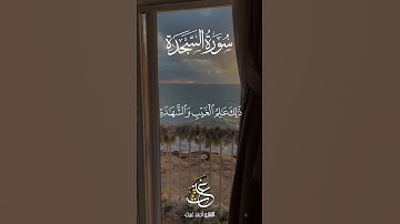 القرآن يُريح القلوب 😌😍#تلاوات #تلاوات_خاشعة #قرآن #قران_كريم #الشيخ #القارئ