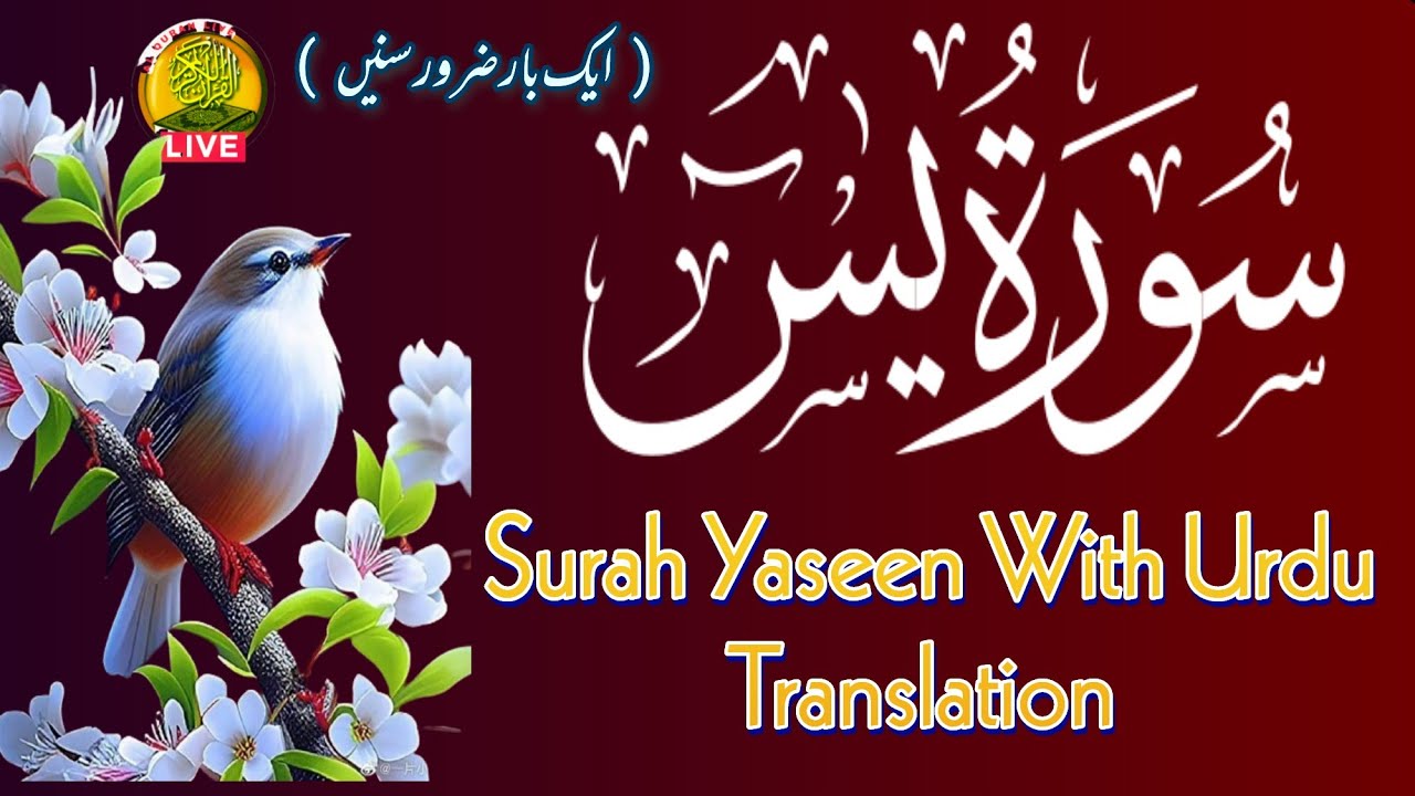 Surah Yasin ( Yaseen ) Full With UrduTranslation | Most Beautifull ...