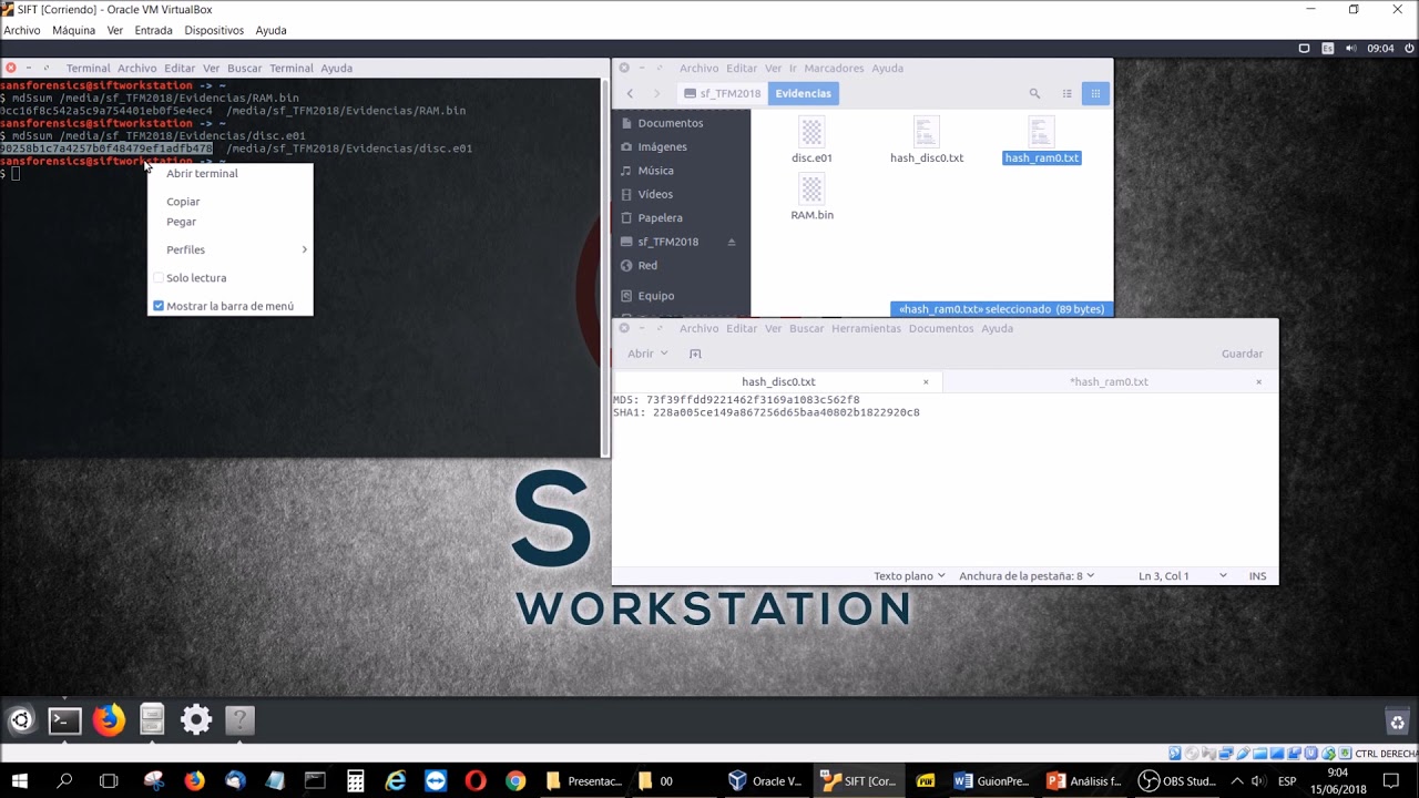 debian 10 01 Hash Sift Workstation - Linux Forensics