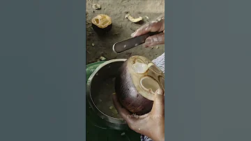 Угадайте что за фрукт❓