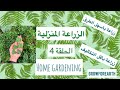 الزراعة في الخليج..كم ساعة يحتاج النبات و الزراعة الصديقة