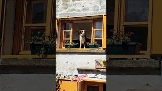 Eski Bademli, Gliki Sokak Manzaraları.