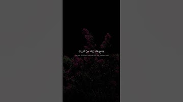 وَٱصۡبِرۡ لِحُكۡمِ رَبِّكَ فَإِنَّكَ بِأَعۡيُنِنَاۖ | محمد صديق المنشاوي | سورة الطور