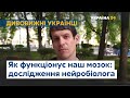 На чому фокусується наша увага: CEO стартапу Beehiveor про тонкощі роботи мозку